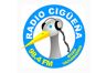 6696_radio-ciguena.png