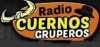 92680_Radio-Cuernos-Gruperos-100x47.jpg