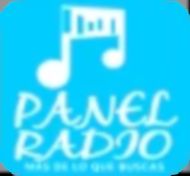 93856_panel-radio.png